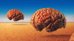 Hemispheres 40th Anniversary Edition