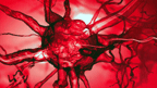Hemispheres 40th Anniversary Edition