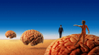 Hemispheres 40th Anniversary Edition