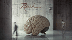 Hemispheres 40th Anniversary Edition